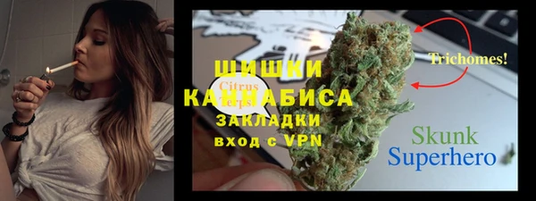 стафф Бронницы