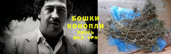 стафф Бронницы