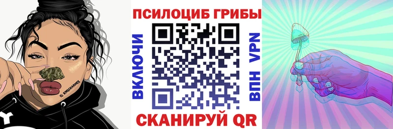 Псилоцибиновые грибы Psilocybine cubensis  Купить где  Отрадное 
